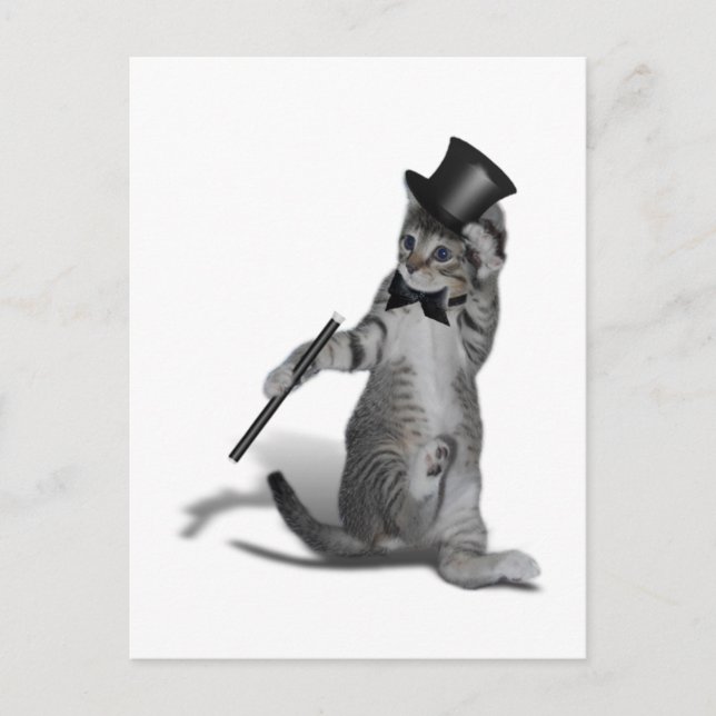 Tap Dancing Cat Postcard (Front)