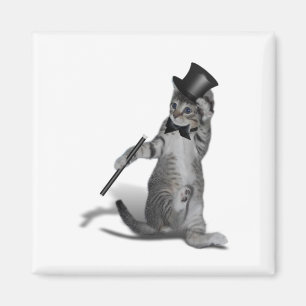 Tap Dancing Kitten Magnet