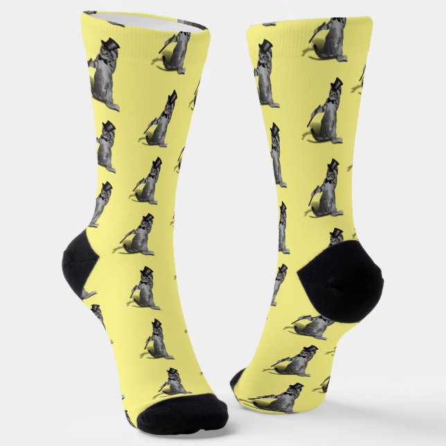 Tap Dancing Kitten Socks (Angled)