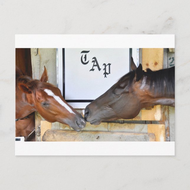 Tap Me Spin Off Postcard (Front)