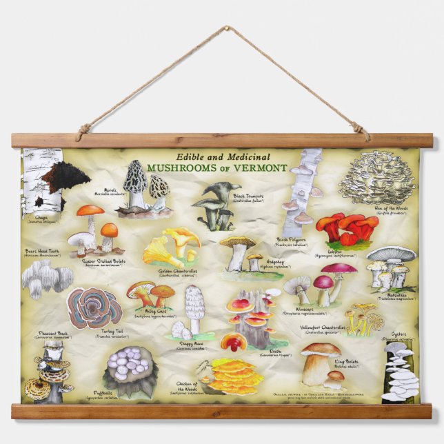 Tapestry Mushrooms of Vermont (Front)