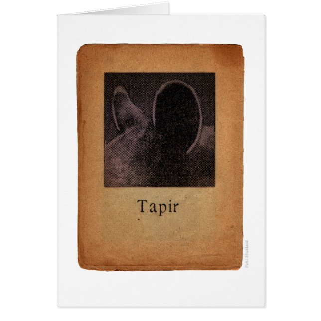 Tapir (Front)