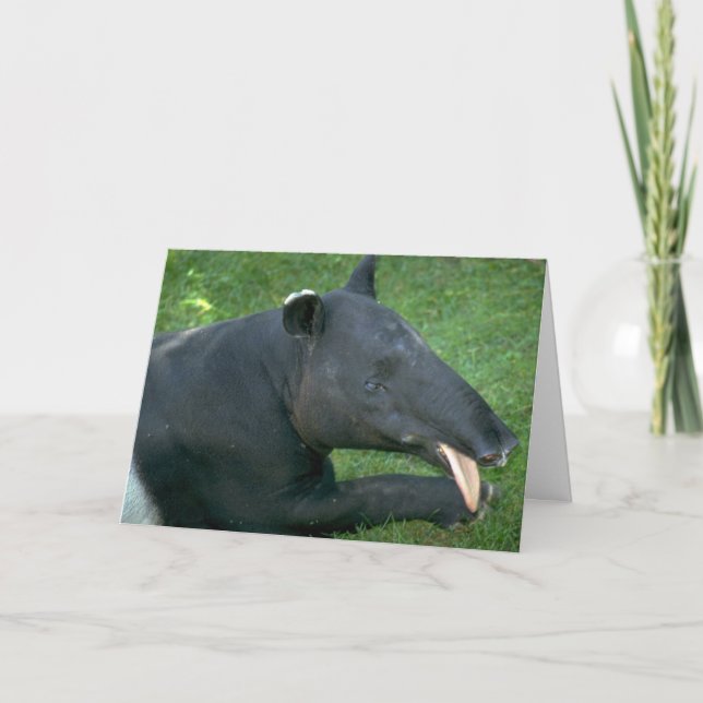 Tapir Card (Front)