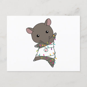 Tapir Christmas Tapire Winter Animals Postcard