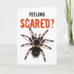 Tarantula Birthday Card<br><div class="desc">An illustration of a tarantula. Not for arachnophobics!</div>