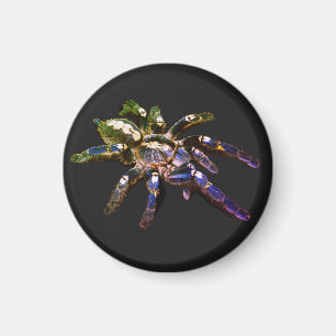 Tarantula blue/red/orange/black spider magnet
