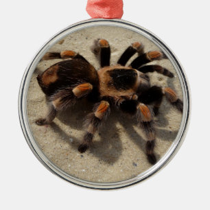 Tarantula brachypelma red knee poisonous metal ornament