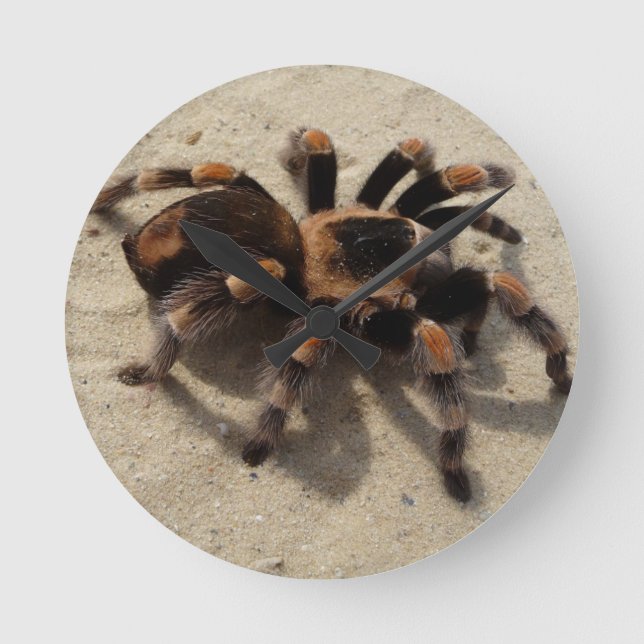 Tarantula brachypelma red knee poisonous round clock (Front)