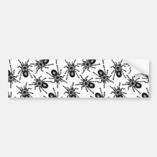 Tarantula Bumper Sticker