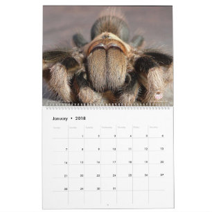 Tarantula Calendar for 2018