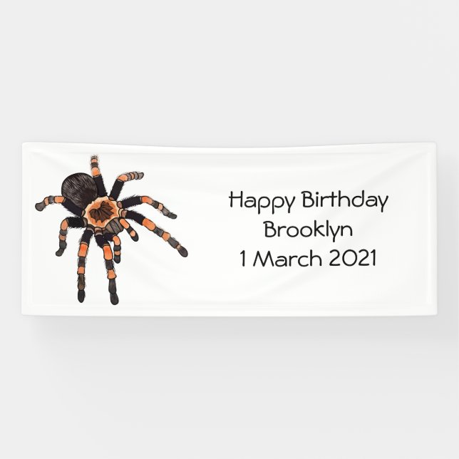 Tarantula cartoon illustration banner (Horizontal)