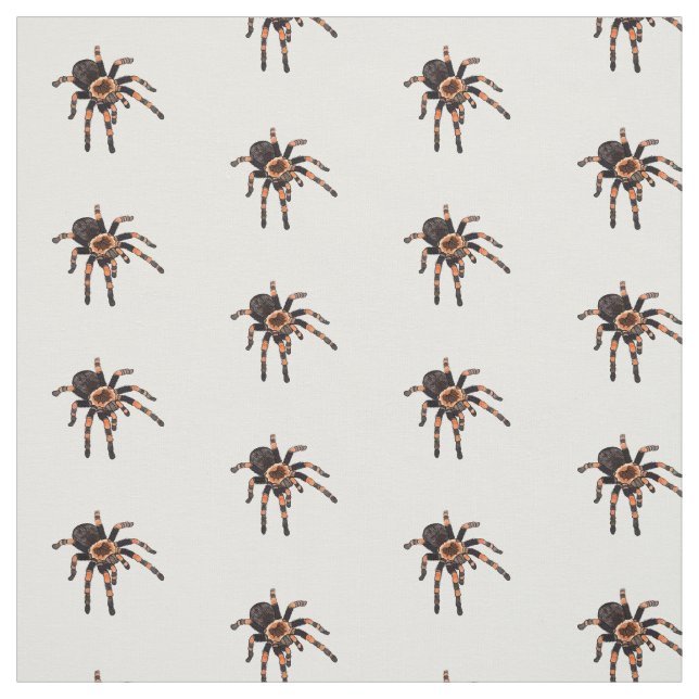 Tarantula cartoon illustration fabric (Swatch)