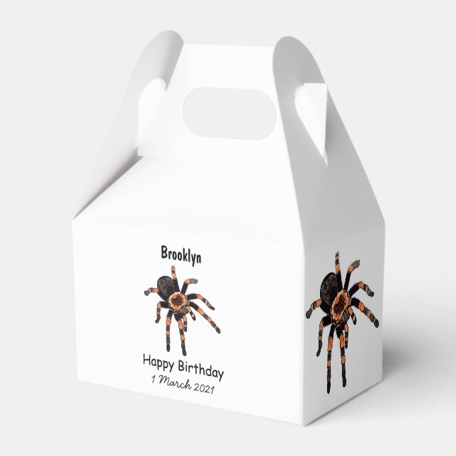 Tarantula cartoon illustration favour box (Front Side)