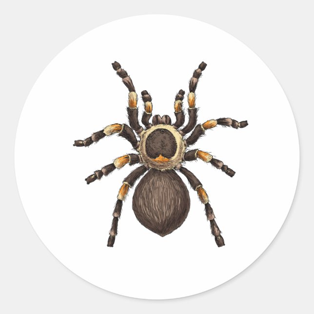 Tarantula Classic Round Sticker (Front)