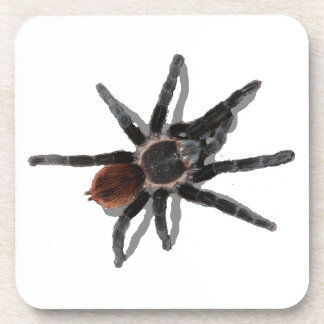 Tarantula coaster pack coark pet spider pests