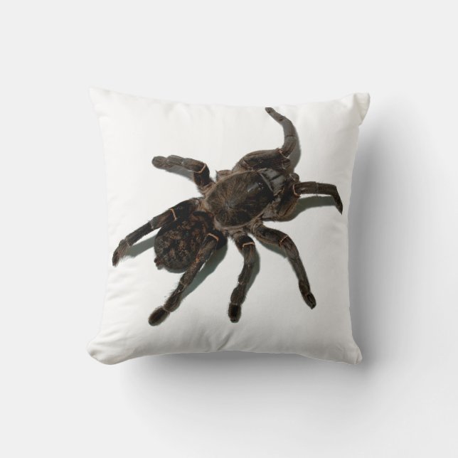 Tarantula Cushion (Front)