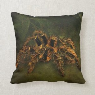 Tarantula Cushion