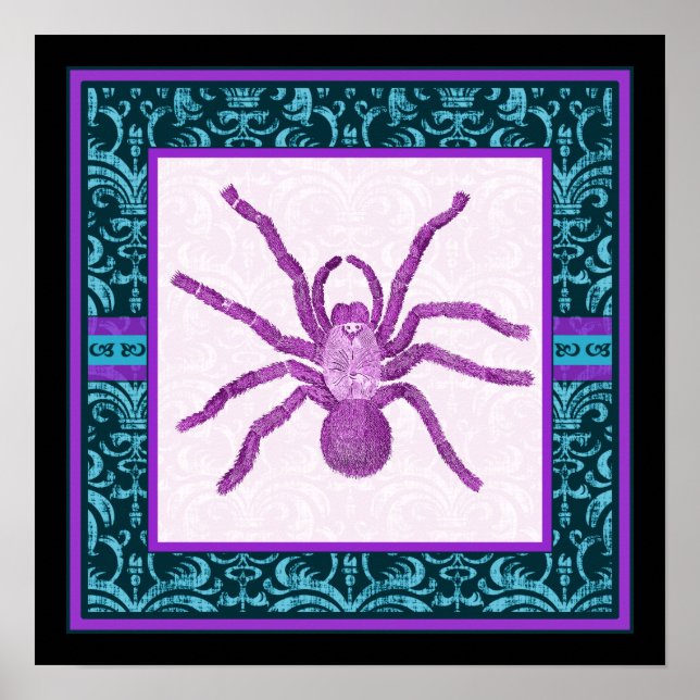 Tarantula - Elegant Teal & Fuschia Damask Border Poster (Front)