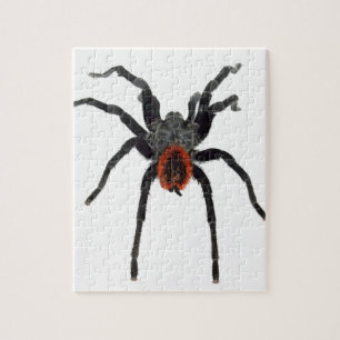 Tarantula Jigsaw Puzzle