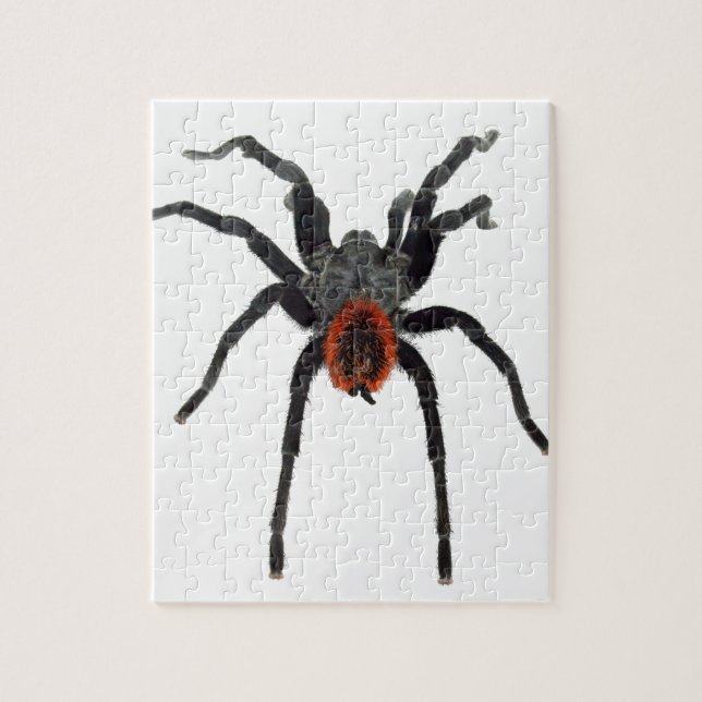 Tarantula Jigsaw Puzzle (Vertical)