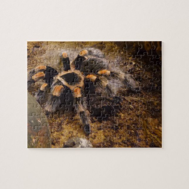 Tarantula Jigsaw Puzzle (Horizontal)