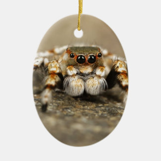Tarantula Jumping Bird Spider awesome accessories Ceramic Tree Decoration