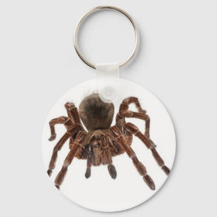 TARANTULA KEY RING