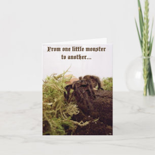 Tarantula Little Monster Birthday Card