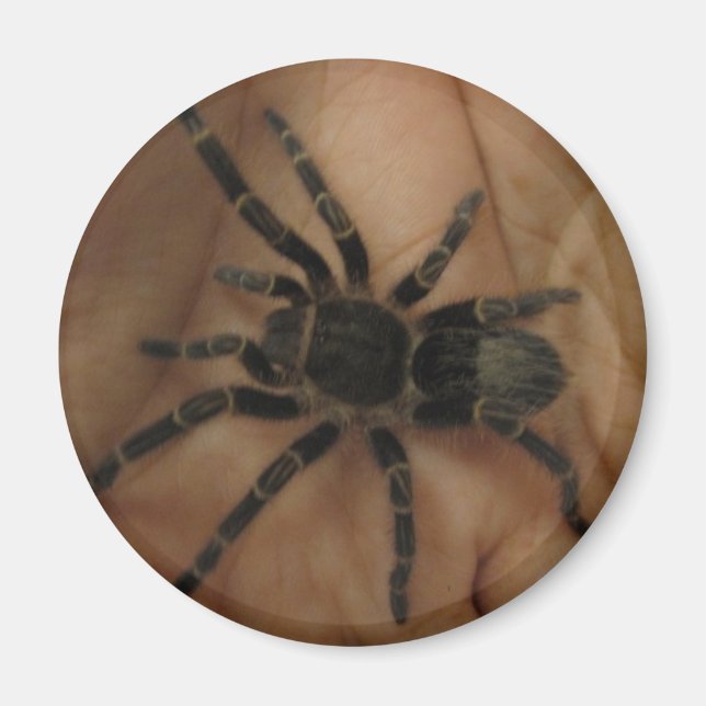 Tarantula Magnet (Front)