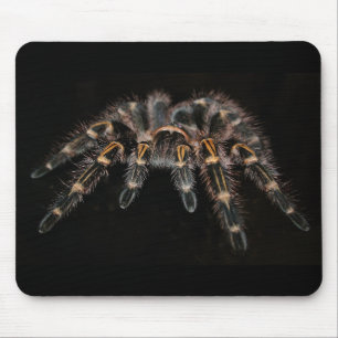 tarantula mouse pad