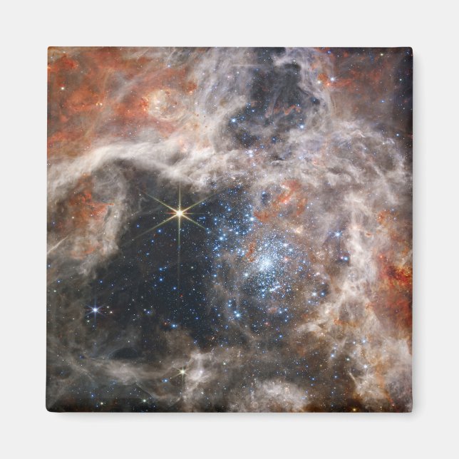 Tarantula Nebula Image from JWST Magnet (Front)