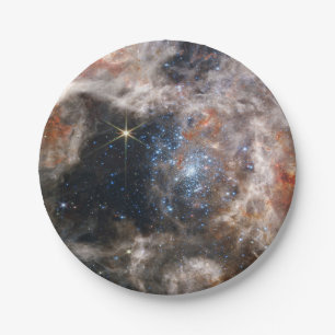 Tarantula Nebula Image from JWST Paper Plate