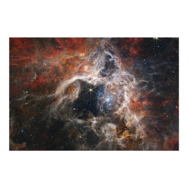 Tarantula Nebula James Webb telescope nasa stars s Photo Print (Front)
