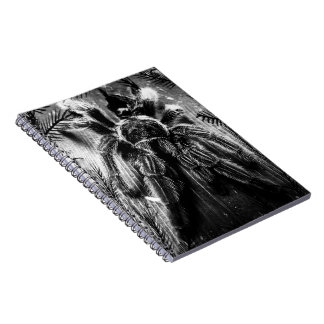 Tarantula notebook