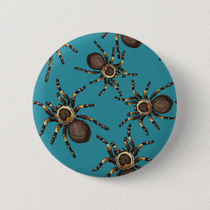 Tarantula on blue 6 cm round badge