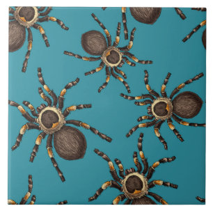 Tarantula on blue ceramic tile