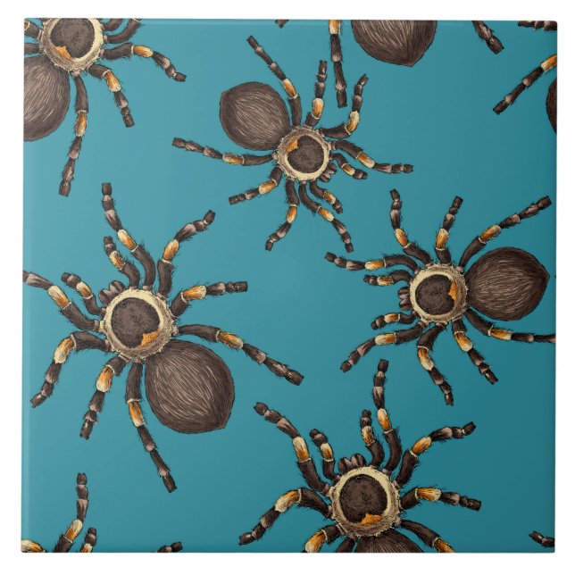 Tarantula on blue ceramic tile (Front)