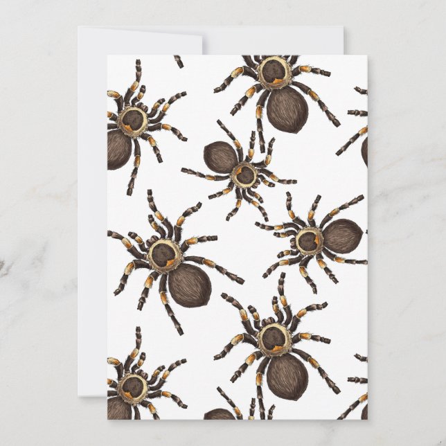 Tarantula on white (Front)