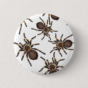 Tarantula on white 6 cm round badge