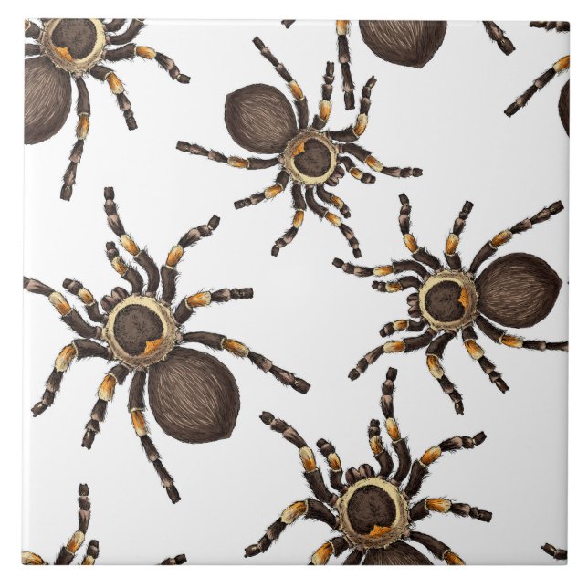 Tarantula on white ceramic tile (Front)