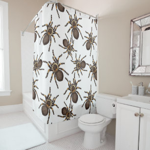 Tarantula on white shower curtain