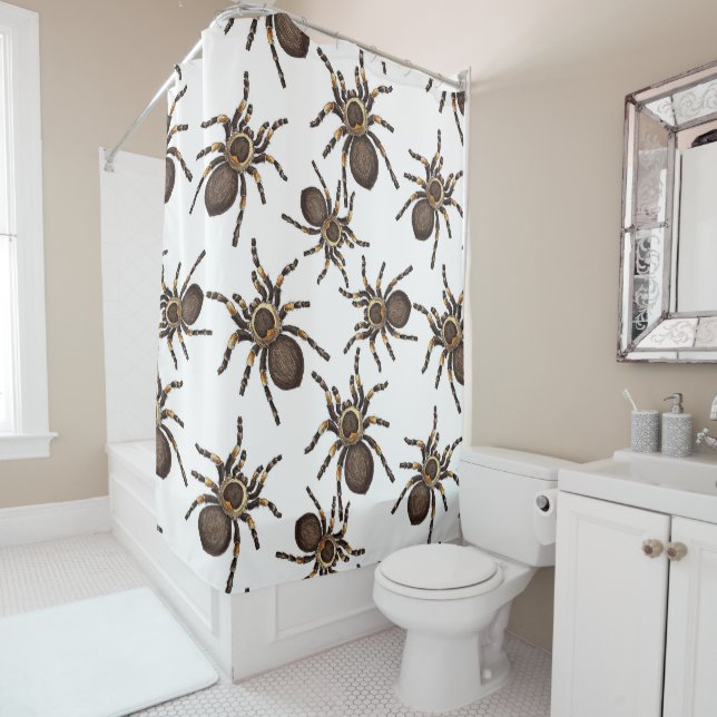 Tarantula on white shower curtain (In Situ)