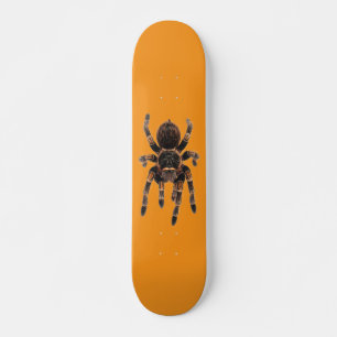 Tarantula orange skateboard