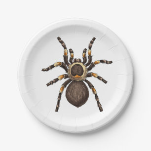 Tarantula Paper Plate