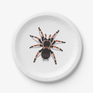 Tarantula Paper Plate