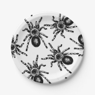Tarantula Paper Plate