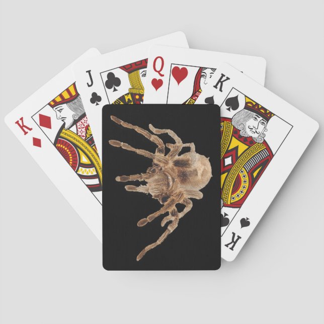 Tarantula plain Playing Cards (Back)