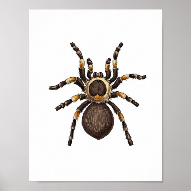 Tarantula Poster (Front)