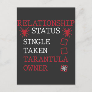 Tarantula Relationship Single Taken Spider Owner Postcard