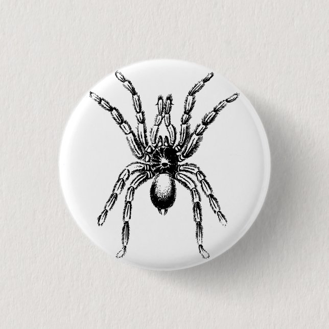 tarantula spider 3 cm round badge (Front)
